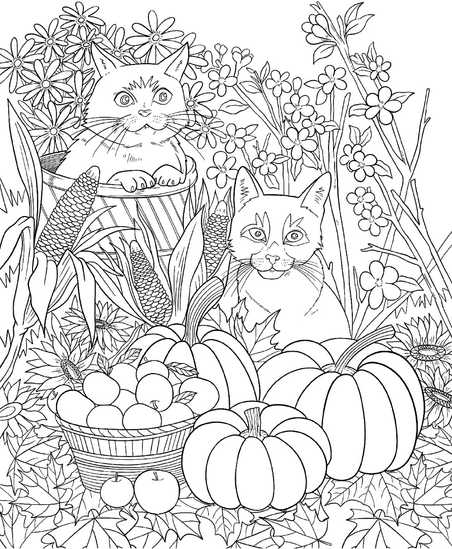 Cats coloring book among autumn leaves